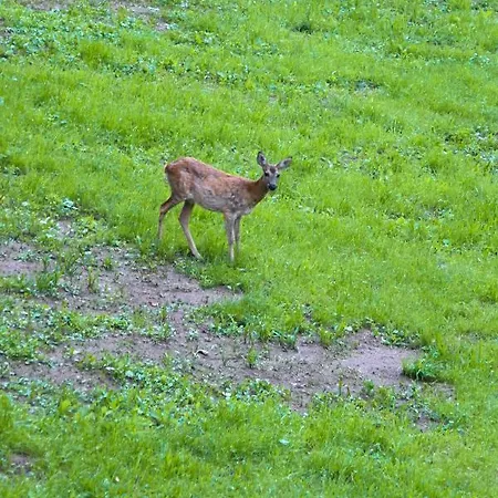 La Araucania, 2 Personnes - Wifi Rombach-le-Franc