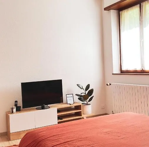 La Araucania, 2 Personnes - Wifi 홈스테이 Rombach-le-Franc