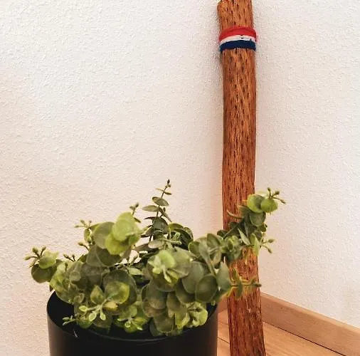 홈스테이 La Araucania, 2 Personnes - Wifi *