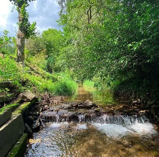 La Araucania, 2 Personnes - Wifi 홈스테이 Rombach-le-Franc