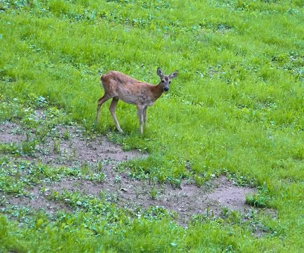 La Araucania, 2 Personnes - Wifi Rombach-le-Franc